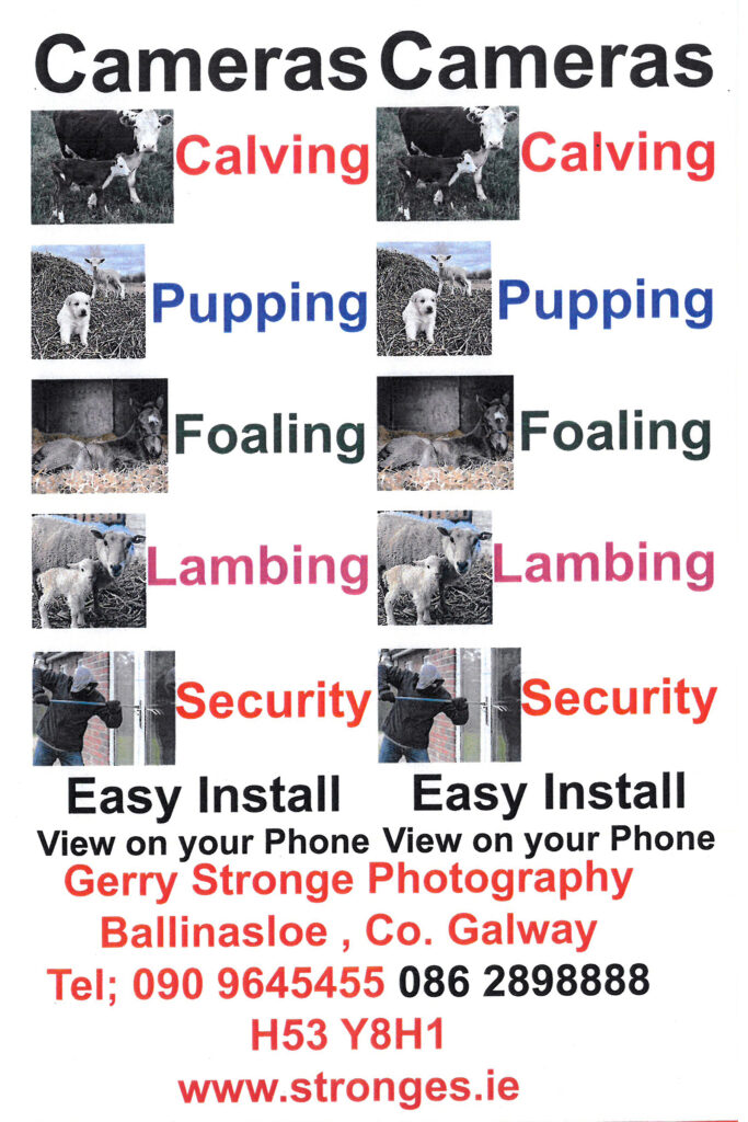 Lambing Cameras / CCTV